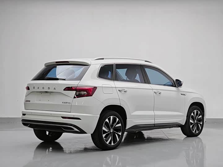 Skoda Karoq, 2023 — фото 6 из 9