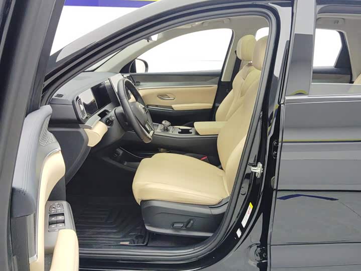 BYD Song Pro Hybrid, 2024 — фото 9 из 9