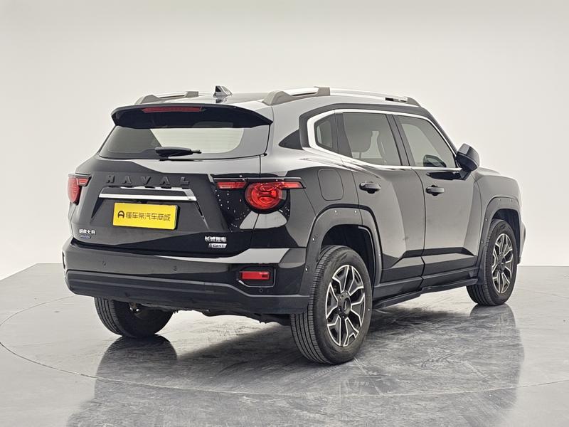 Haval H-Dog Hybrid, 2023 — фото 7 из 12