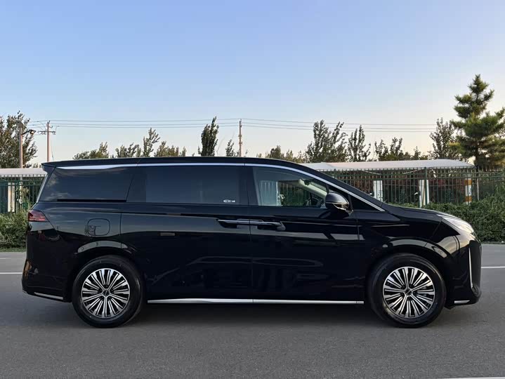 BYD M9, 2025 — фото 7 из 9