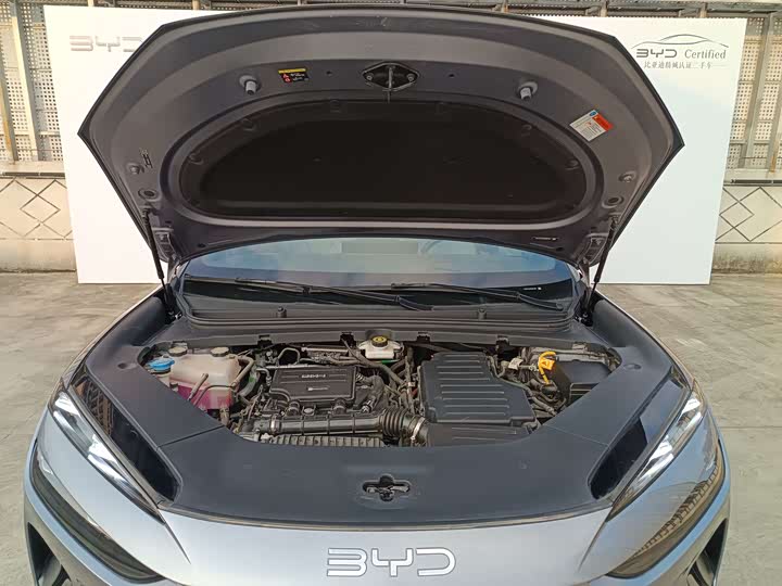 BYD Sea Lion 06 Hybrid/EV, 2025 — фото 5 из 9