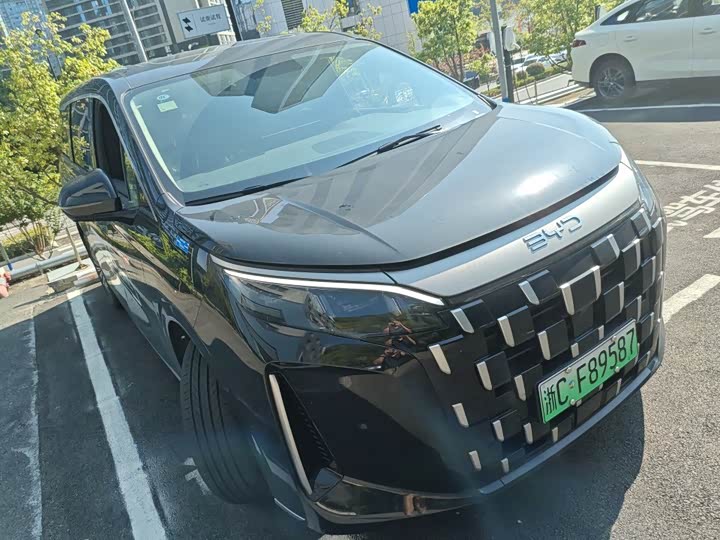 BYD M9, 2025 — фото 2 из 9