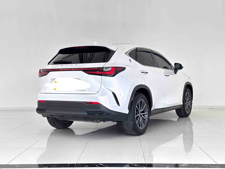 Lexus NX, 2023 — фото 3 из 9