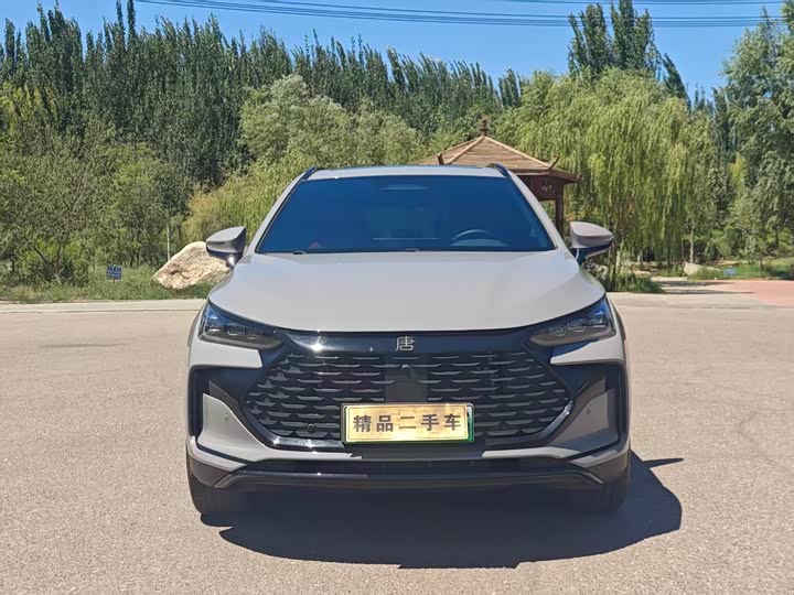 BYD Tang Hybrid/EV, 2025 — фото 2 из 9
