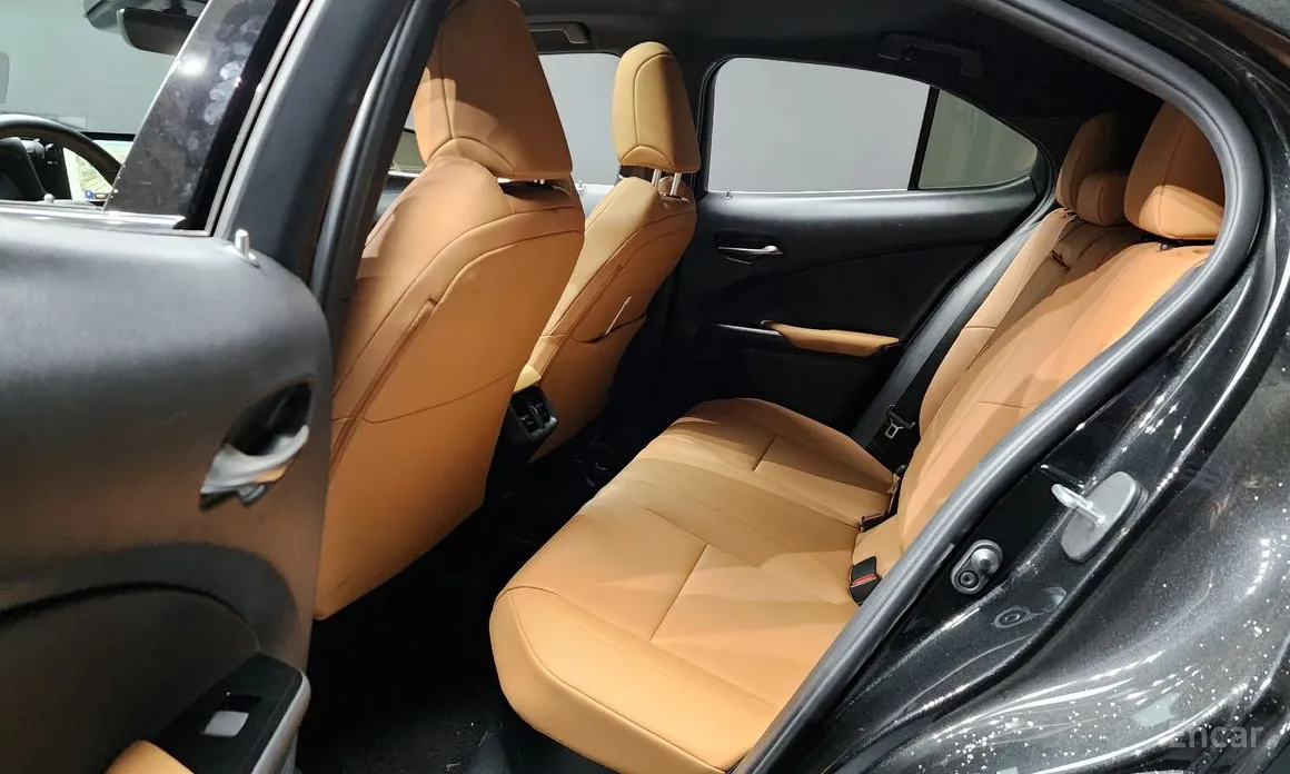 Lexus UX, 2023 — фото 12 из 12