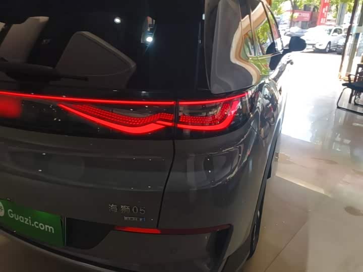 BYD Sea Lion 05 EV, 2025 — фото 8 из 9