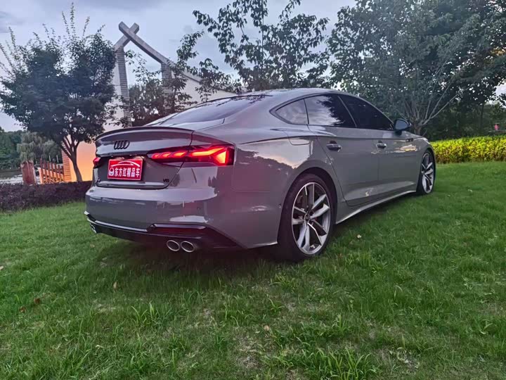 Audi S5, 2021 — фото 9 из 9