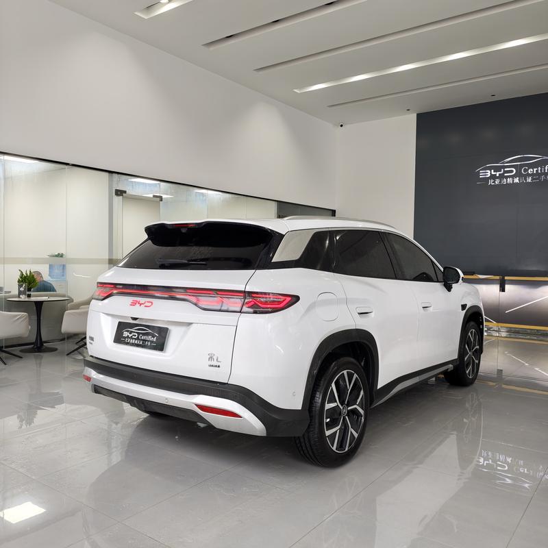 BYD Song L DM-i Hybrid, 2025 — фото 6 из 12