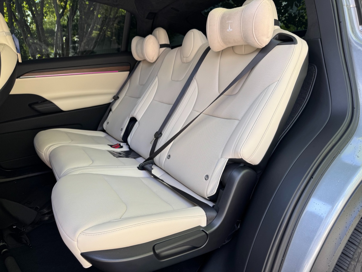 Tesla Model X, 2026 — фото 7 из 12
