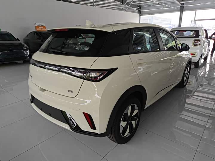 BYD Dolphin, 2026 — фото 7 из 9