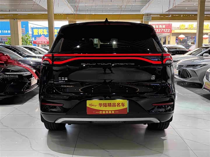 BYD Tang Hybrid/EV, 2023 — фото 5 из 9