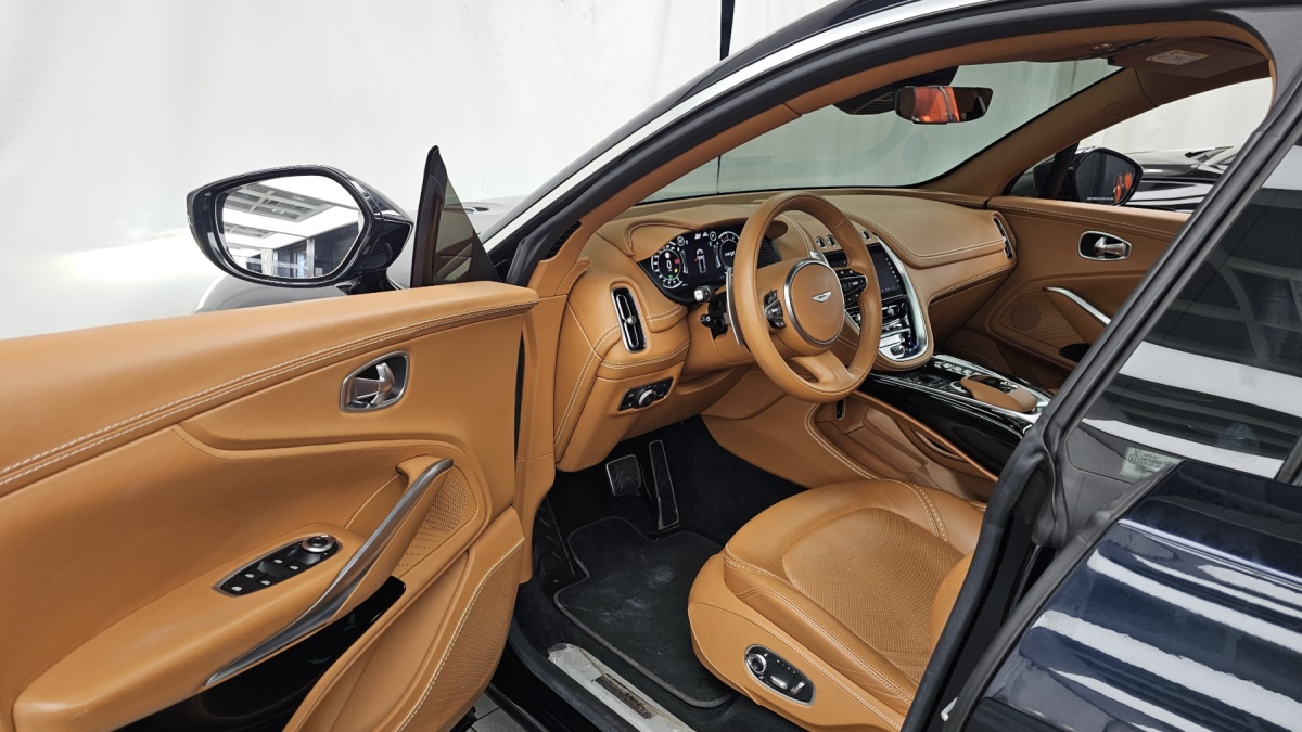 Aston Martin DBX, 2023 — фото 10 из 12