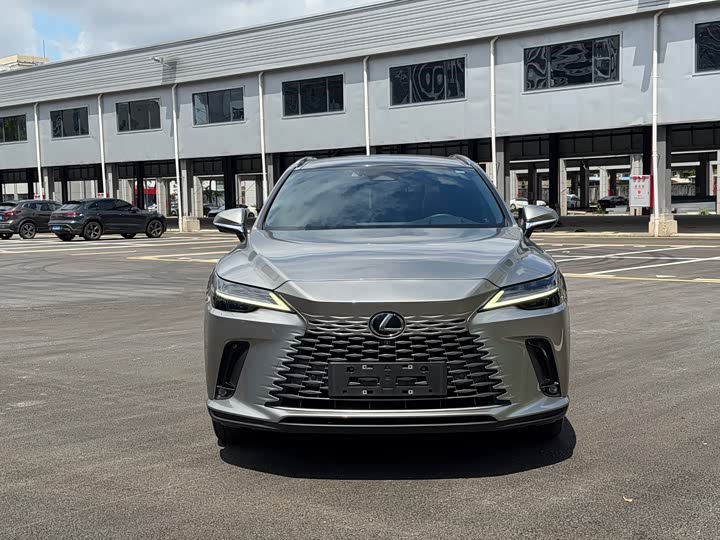 Lexus RX Hybrid, 2022 — фото 2 из 9