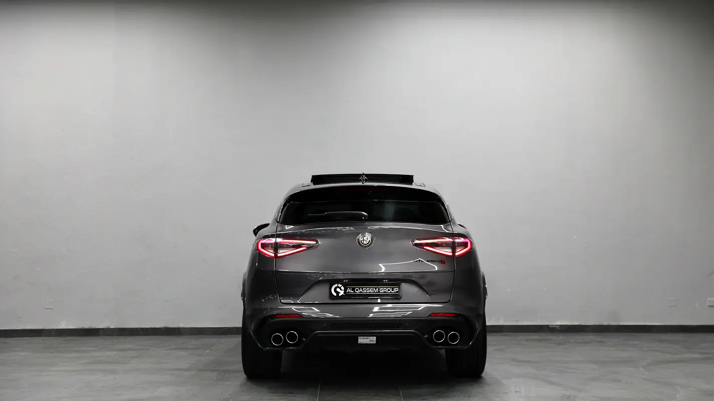 Alfa Romeo Stelvio, 2025 — фото 5 из 10