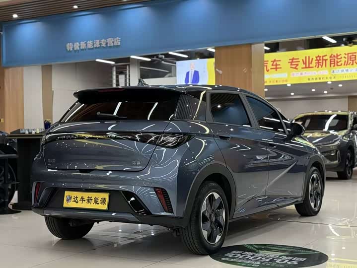 BYD Dolphin, 2025 — фото 6 из 9