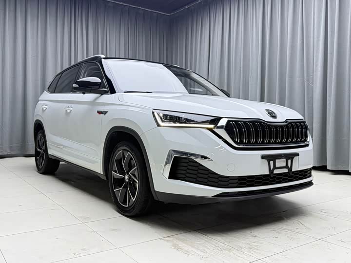 Skoda Kamiq, 2023 — фото 3 из 9