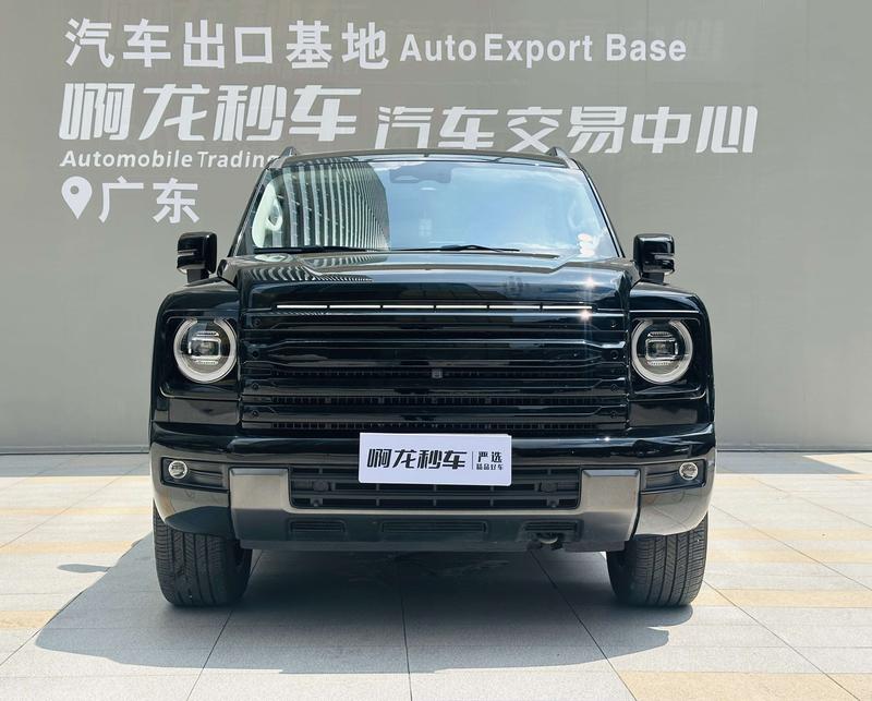 Haval H9, 2024 — фото 2 из 12
