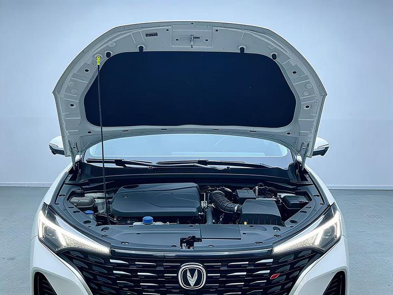 Changan Eado Plus, 2024 — фото 12 из 12