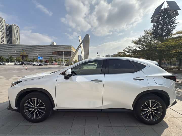 Lexus NX, 2021 — фото 7 из 9