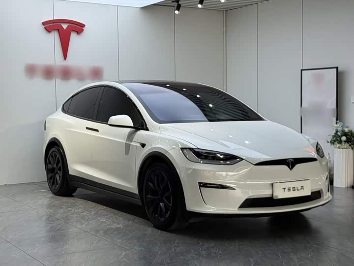 Tesla Model X, 2023 — фото 4 из 9