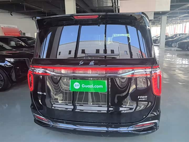 Hongqi HQ9 Hybrid, 2024 — фото 6 из 9