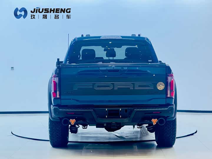 Ford F-150 Raptor, 2023 — фото 9 из 9
