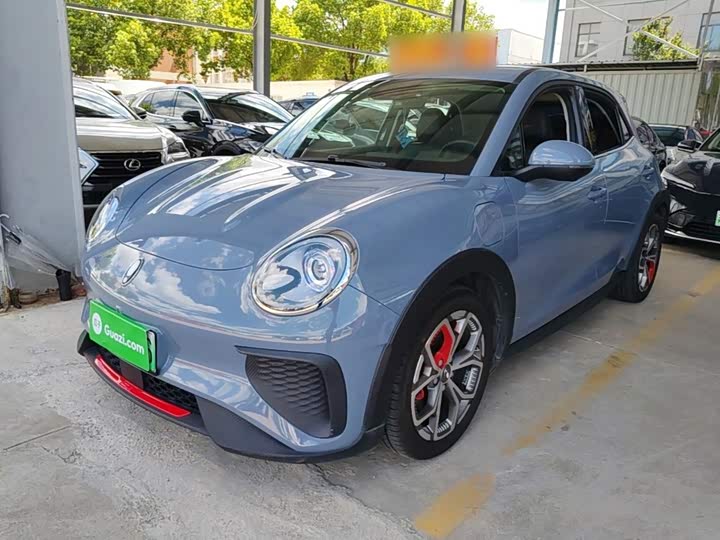 Ora Good Cat GT (03 GT), 2023 — купить в Санкт-Петербурге под ключ