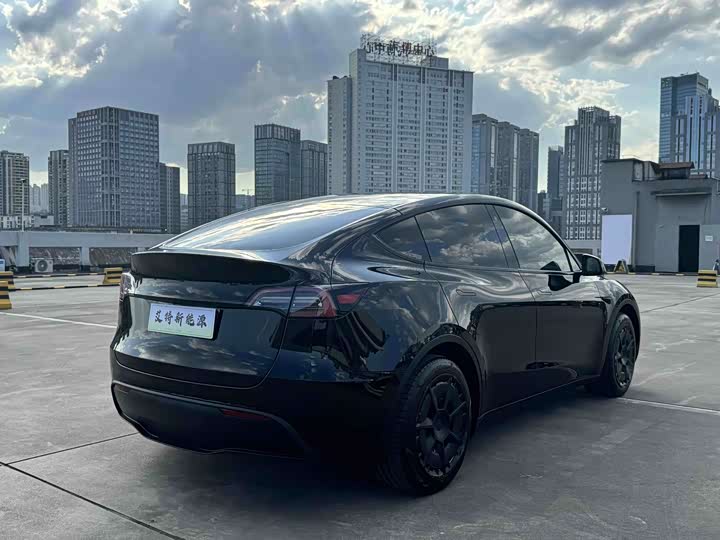 Tesla Model Y, 2022 — фото 7 из 9