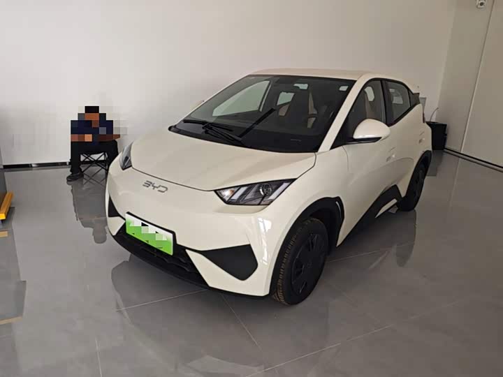BYD Seagull, 2026 — купить в Владимире под ключ