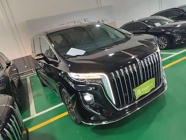 Hongqi HQ9 Hybrid, 2024 — фото 4 из 9