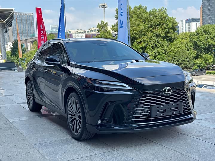 Lexus RX Hybrid, 2023 — фото 3 из 9