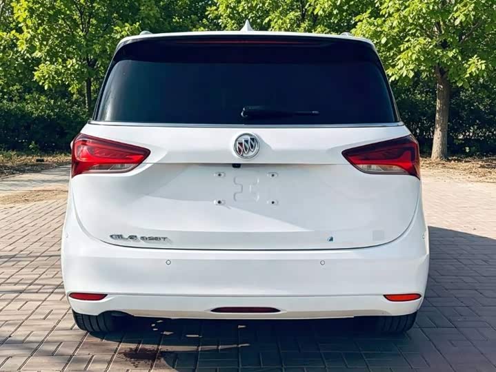 Buick GL6, 2023 — фото 4 из 9