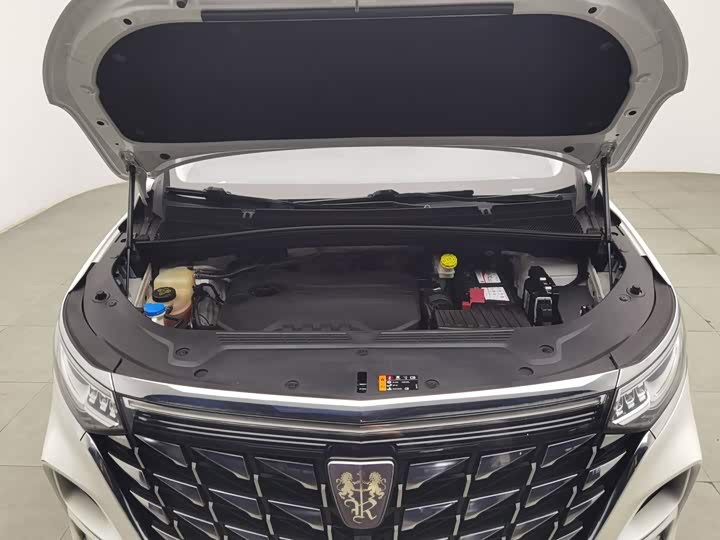 Roewe iMax 8, 2023 — фото 6 из 9