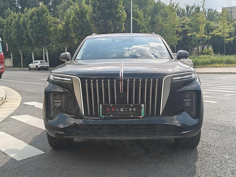 Hongqi E-HS9, 2023 — фото 2 из 12