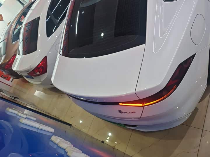 BYD Qin Plus, 2024 — фото 6 из 9