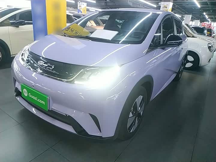 BYD Dolphin, 2024 — купить в Перми под ключ
