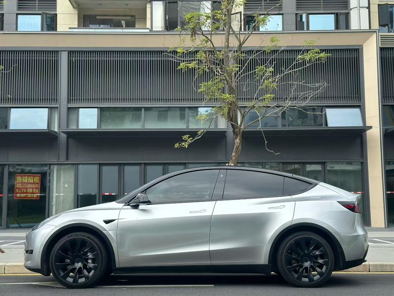 Tesla Model Y, 2023 — фото 3 из 10