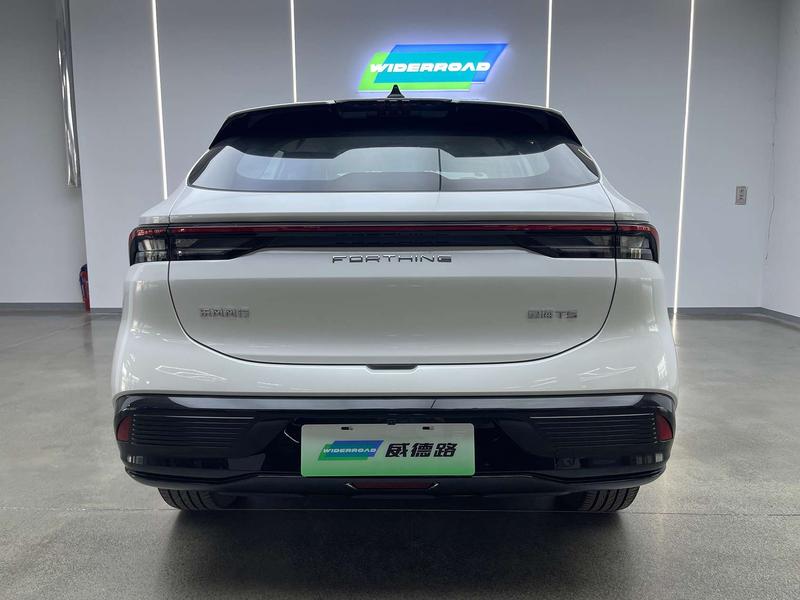 Dongfeng Forthing Xinghai T5, 2025 — фото 6 из 12