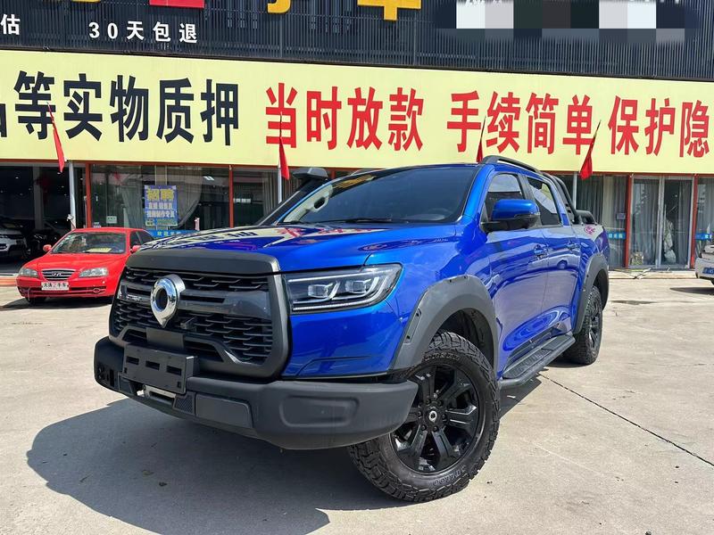 Great Wall Pao, 2022 — купить в Воронеже под ключ