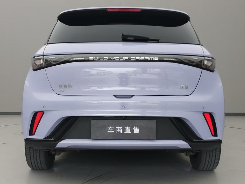 BYD Dolphin, 2024 — фото 6 из 12