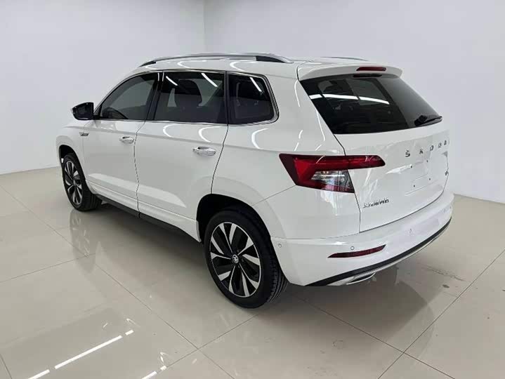 Skoda Karoq, 2022 — фото 6 из 9