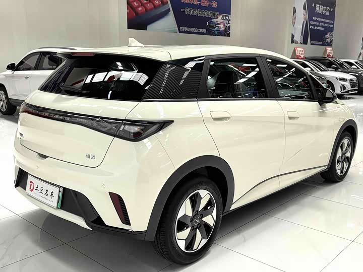 BYD Dolphin, 2025 — фото 6 из 9