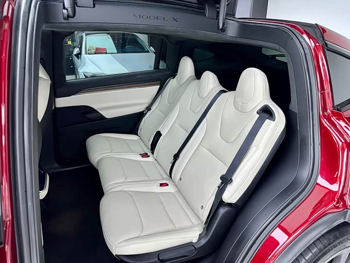 Tesla Model X, 2023 — фото 9 из 9