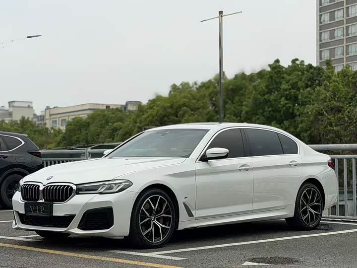 BMW 5 Series, 2021 — купить в Нижнем Новгороде под ключ