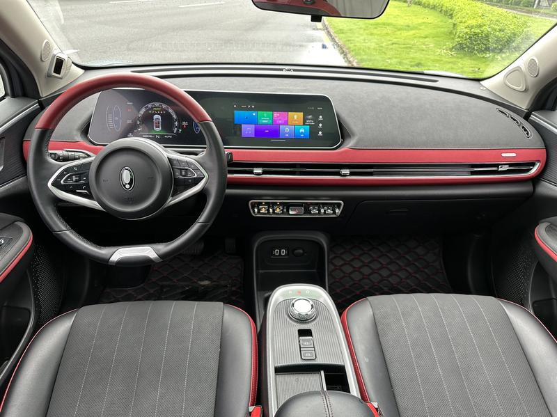 Ora Good Cat GT (03 GT), 2021 — фото 7 из 12