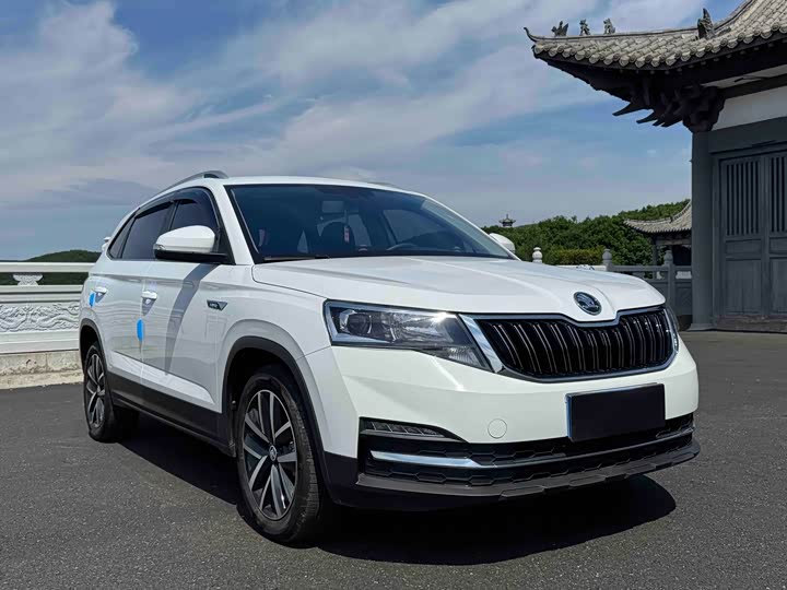 Skoda Kamiq, 2023 — фото 3 из 9