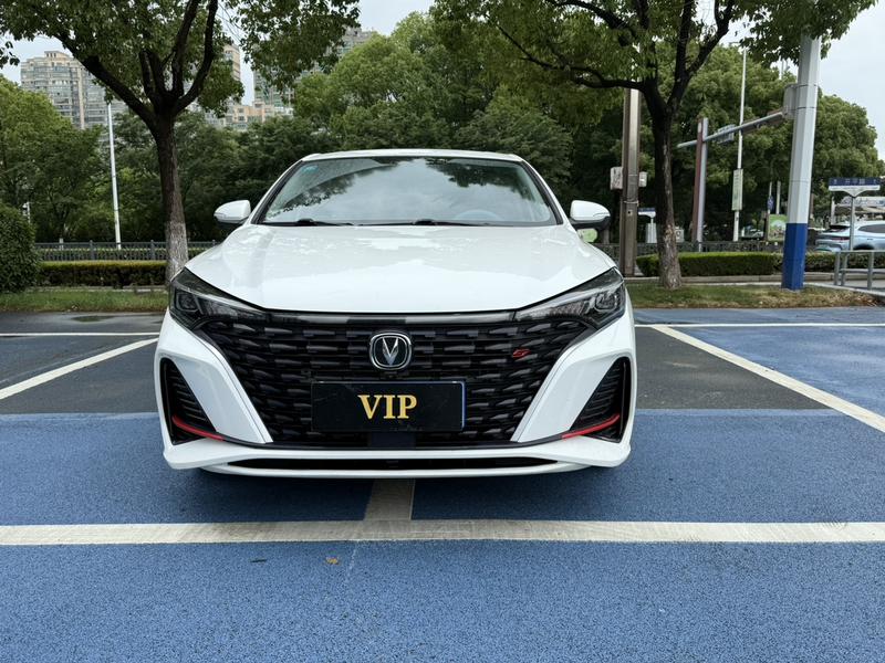 Changan Eado Plus, 2023 — фото 2 из 10