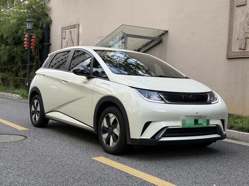 BYD Dolphin, 2025 — фото 3 из 12