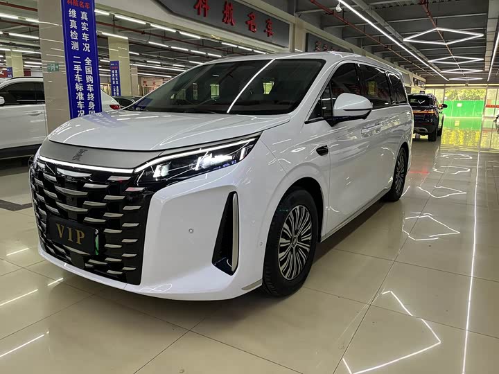 BYD Xia, 2026 — купить в Белгороде под ключ