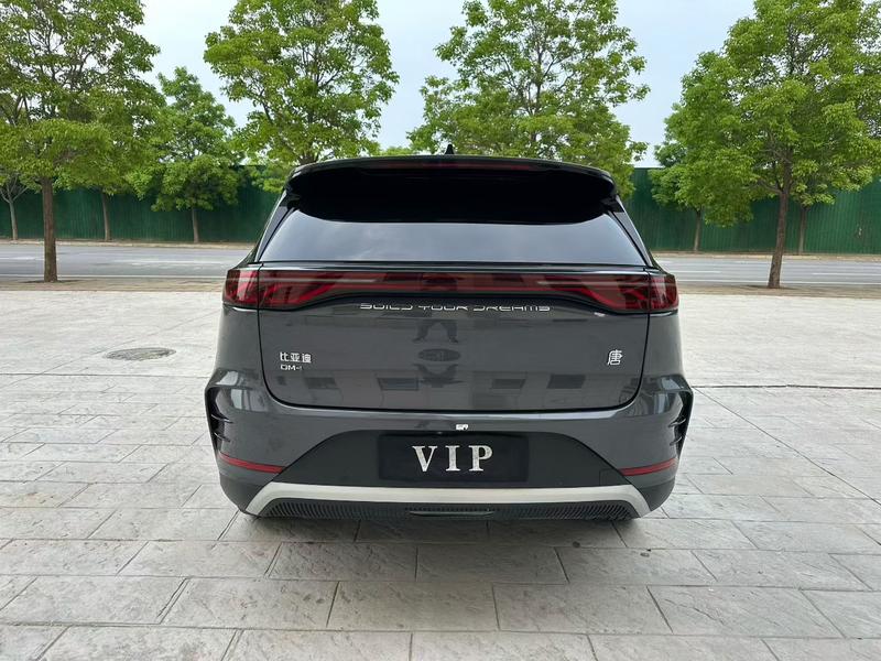 BYD Tang Hybrid/EV, 2024 — фото 5 из 10